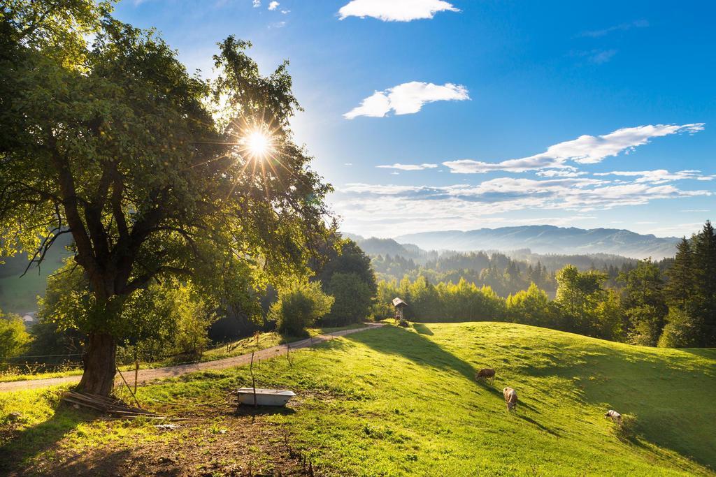 Eco Terme Snovik, Kamnik Ξενοδοχείο Laze v Tuhinju Εξωτερικό φωτογραφία